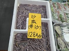 -寻味顺德·南记酒家·传统顺德菜·鱼生(广源路店)