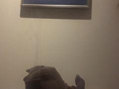 -经禅和·中医推拿(百家湖店)