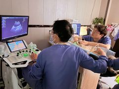 -半岛宠物医院24小时(白果林店)