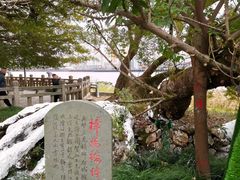 -江心屿景区