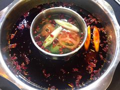 -金鼎雪山牦牛杂火锅(理县总店)