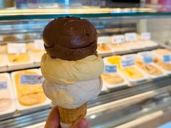 -Dooley's Premium Ice Cream