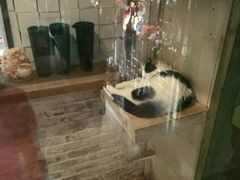 -猫咪博物馆(顶澳仔猫街店)