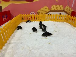 -第五极儿童乐园
