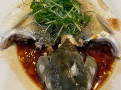 清蒸山坑皖鱼-凤厨顺德水乡凤味馆(大良锦龙路店)