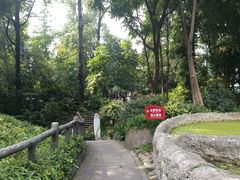 -成都市活水公园