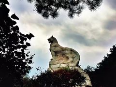 -帽儿山国家森林公园