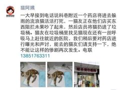 iphone_upload_pic-盛京一禾