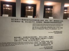 -侵华日军南京大屠杀遇难同胞纪念馆
