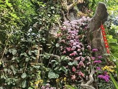 -郑州植物园
