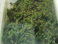 -墨江小城故事餐厅