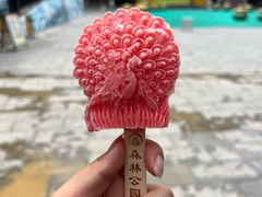 -西双版纳原始森林公园