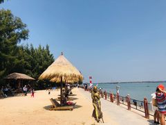 -北海金海湾红树林生态旅游区