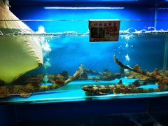 -叶姐海鲜(棋子湾店)