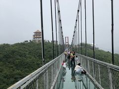 -铜川市金锁关石林