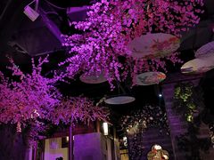 -韵秋荷(宝山龙湖天街店)