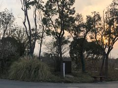 -广富林郊野公园