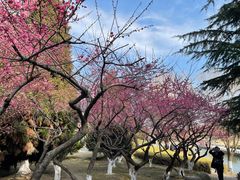 -白塘生态植物园