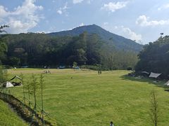-黄埔油麻山森林公园
