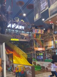 -卡通尼·Safari非洲探索乐园·生日会(金桥国际商业广场店)