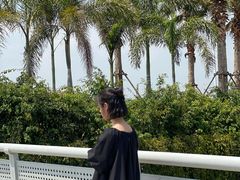 -海堤纪念公园