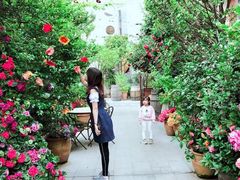 -The Grounds of Alexandria