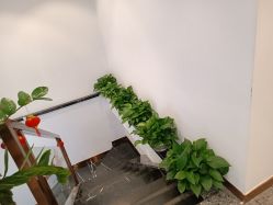-战痘宣颜科学皮肤管理祛痘中心