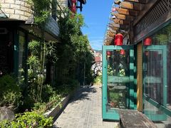 -慢丽江·云南野生菌土鸡锅(付家庄店)