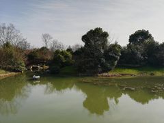-桃花岛景观公园