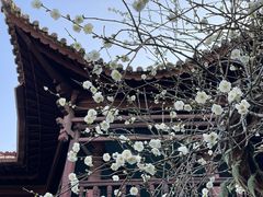 -和顺古镇