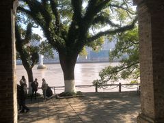 -江心屿景区