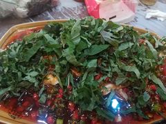 -望江饭店(13年精品店)