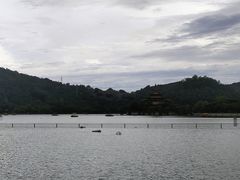 -顺峰山公园