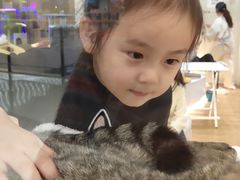 -COLOR PETS 撸猫馆·购猫·猫咖(长风大悦城店)