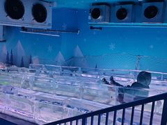 -西安银基冰雪世界