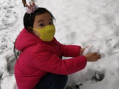 -香雪海