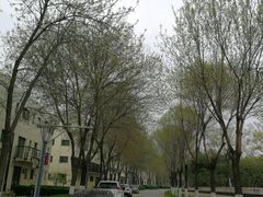 -北京国家会计学院