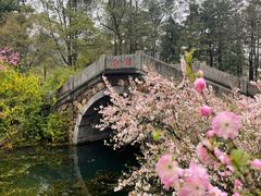 -杭州植物园