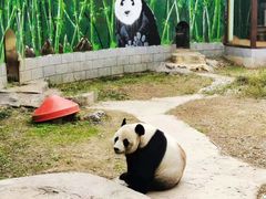 -南昌动物园