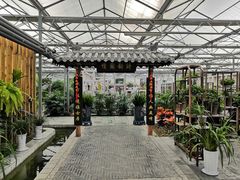 -兰陵国家农业公园