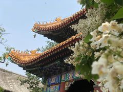 -雍和宫