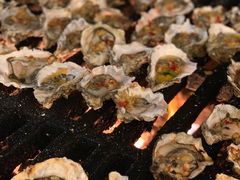 烤生蚝-东方红海鲜百汇(国际大厦店)