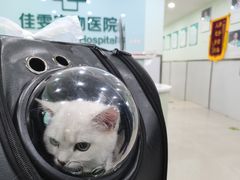 -佳雯宠物医院(金华南路分院)