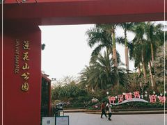 -莲花山公园