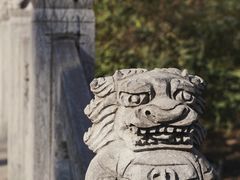 -百脉泉景区