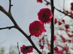 -宣武艺园