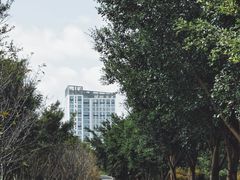 -三垟湿地