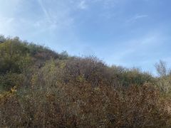 -北京西山国家森林公园