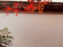 -秋霞圃
