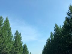 -塞罕坝国家级自然保护区